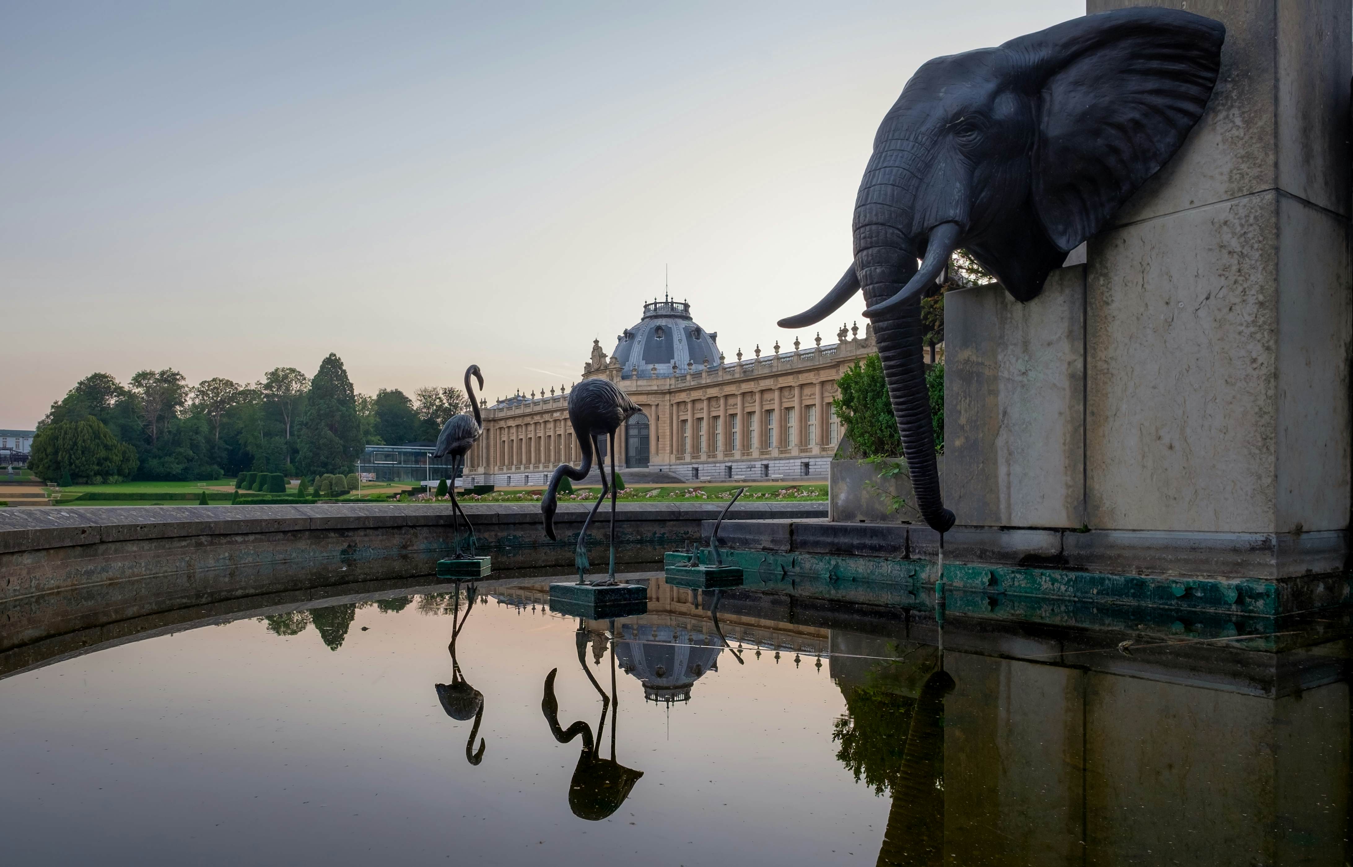 13 best things to do in Brussels Lonely